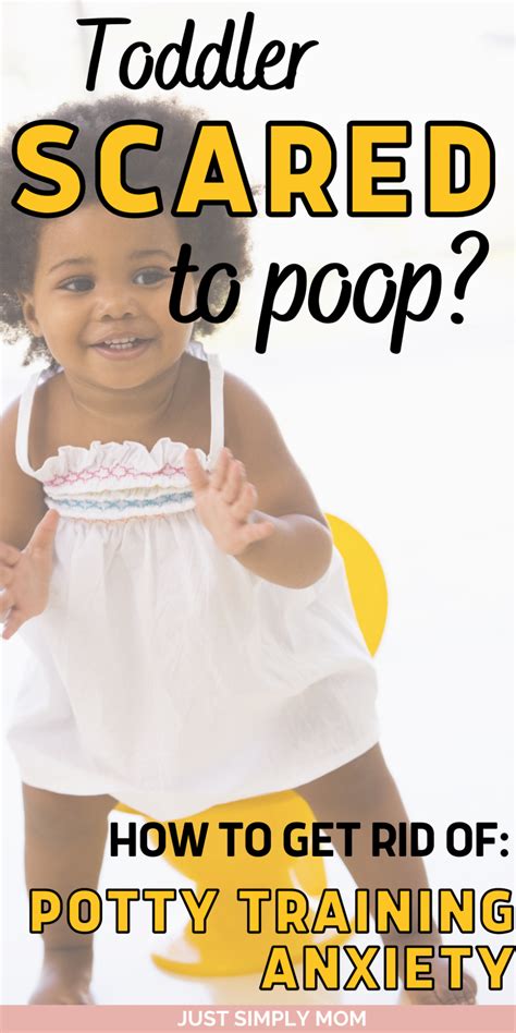 Toddler Scared to Poop? How to Get Rid of Potty Training Anxiety - Just ...