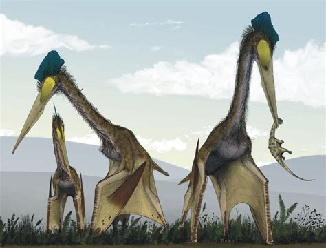 Just How Big was the Largest Flying Dinosaur? Huge. | by Darian West | The Startup | Medium