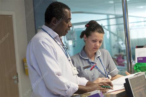 Hospital staff - Stock Image - C007/6939 - Science Photo Library