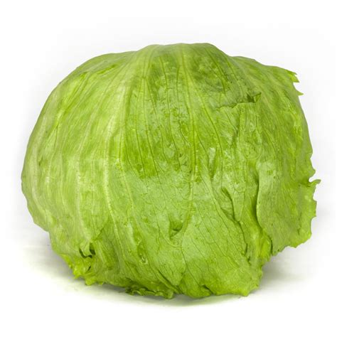 Iceberg Lettuce - Andy Boy