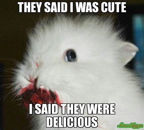 Pin by Ashley Carttar on So funny... | Bunny meme, Happy easter funny ...