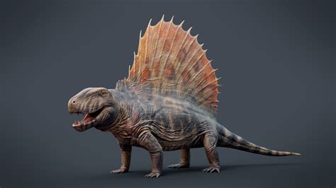 Dimetrodon grandis 3D Model Reconstruction - Dimetrodon - Wikipedia ...