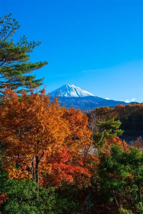 Autumn scenery of Japan stock image. Image of autumn - 43410223