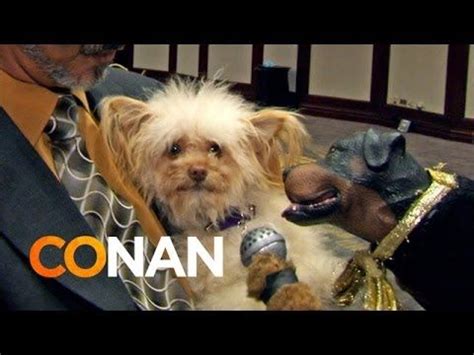 Triumph The Insult Comic Dog Hits The Golden Collar Awards - CONAN on ...