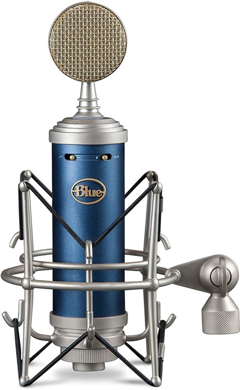 Blue Microphones Bluebird SL Large-diaphragm Condenser Microphone ...