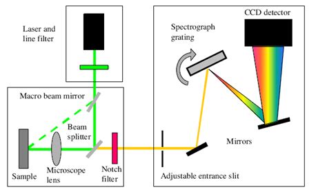 The Raman Spectrophotometer