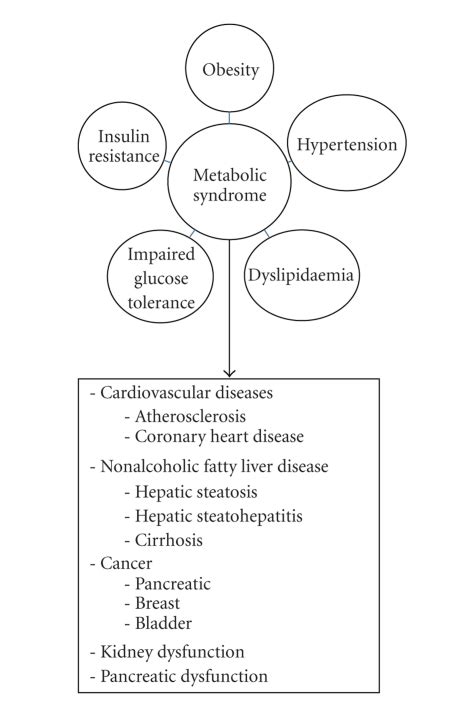 Metabolic syndrome and associated complications. | Download Scientific ...