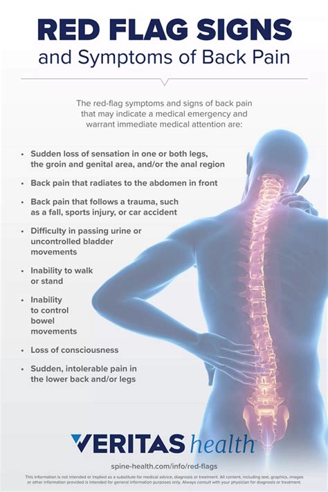 What Causes Lower Back Pain? | Health Secrets