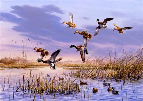 "That Special Time" MallardsArtist Proof Edition of 150 - 18" x 26" -Waterfowl Paintings ...