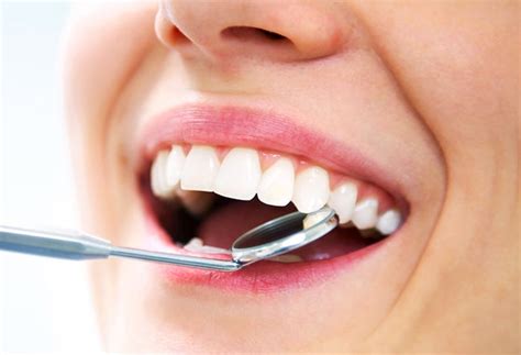 Tipos de dientes (II): los caninos - Alonso Dental | Dentista en Torrejón de Ardoz