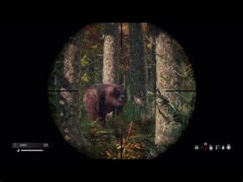 Dayz BEAR HUNTING GONE WRONG! - YouTube