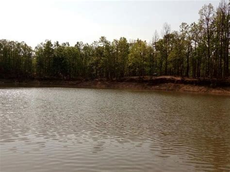 A Visit To Hazaribagh National Park In Jharkhand - Nativeplanet