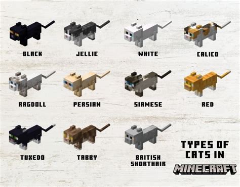 Minecraft Cat Breeds Chart