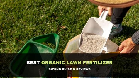 10 Best Organic Lawn Fertilizer 2021 - Buying Guide