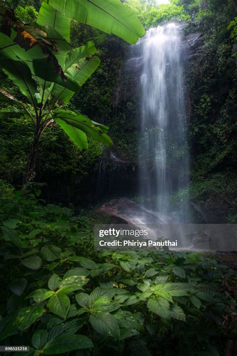 Waterfall In The Rainforest High-Res Stock Photo - Getty Images