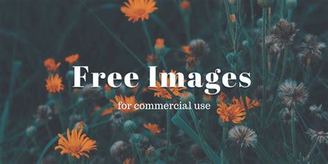 Where to Get Free Images for Commercial Use (11 Sites)