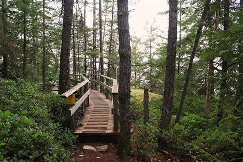 Lighthouse Park hike near West Vancouver | Vancouver Trails