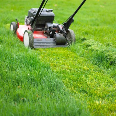 The Best Ways to Mow a Lawn to Keep It Healthy | Better Homes & Gardens