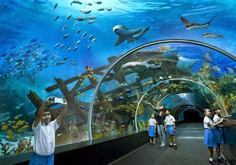 Ritebook: SEA Aquarium, The World's Largest Aquarium | Sentosa, Singapore