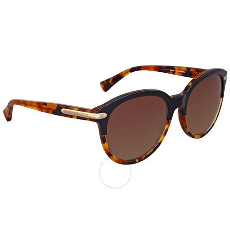 Coach Brown Gradient Polarized Sunglasses - Coach - Sunglasses - Jomashop