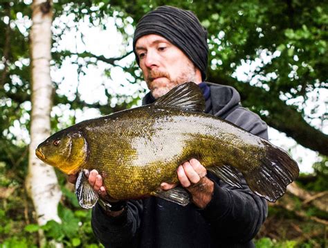 Giant catfish landed at UK fishing complex on ultra-light tackle