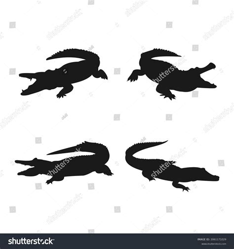 4,500 Alligator Outline Images, Stock Photos & Vectors | Shutterstock