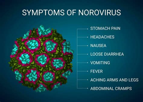 Norovirus symptoms illustration, medical infographic 32619228 Vector Art at Vecteezy