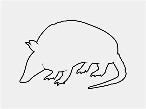 armadillo outline vector silhouette 11139072 Vector Art at Vecteezy