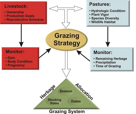 Grazing Strategy | National Drought Mitigation Center