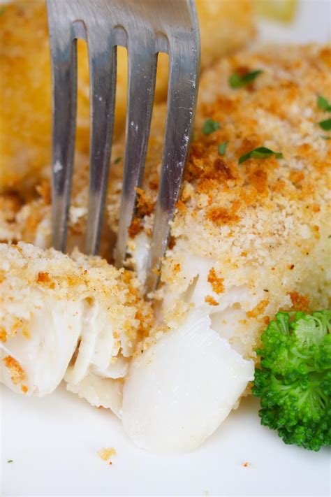 Recipe For Haddock Fish Fillets | Dandk Organizer