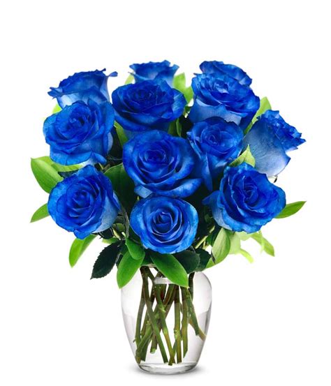 Real Blue Rose Bouquet | ubicaciondepersonas.cdmx.gob.mx