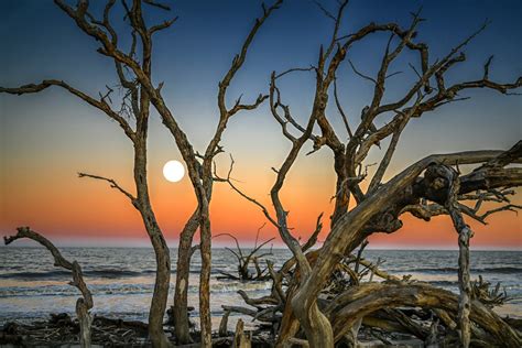 Jekyll Island, Georgia Beautiful Coast - Traveling Huntleys