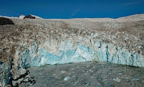 Guyot Glacier, Icy Bay - CoastView