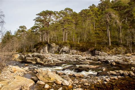 Glen Affric & Loch Ness tour from Inverness | WOW Scotalnd Tours