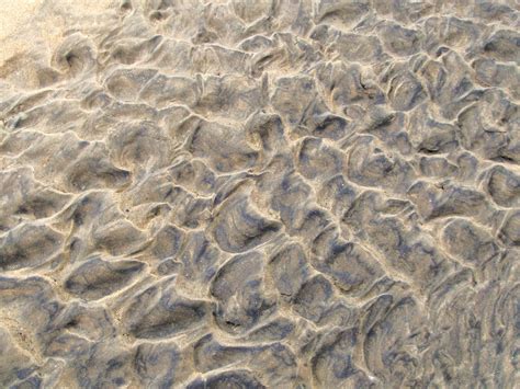 Sea Sand Free Stock Photo - Public Domain Pictures