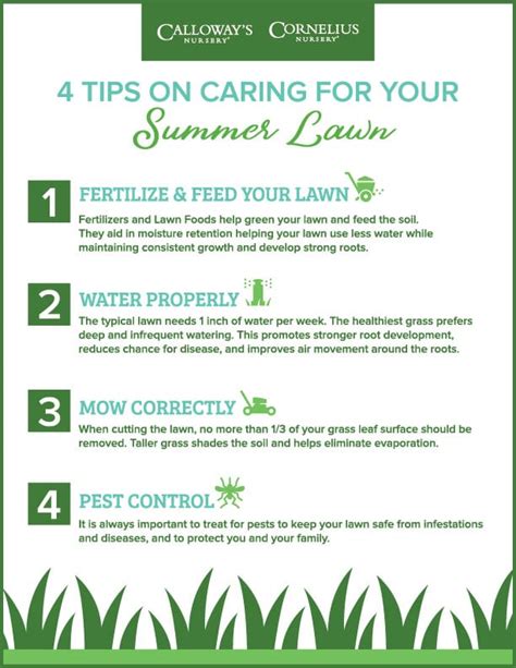 4 Tips on Caring for your Summer Lawn | Calloway’s Nursery