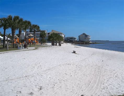 Cedar Key Beaches: A Haven for Nature Lovers – Wild