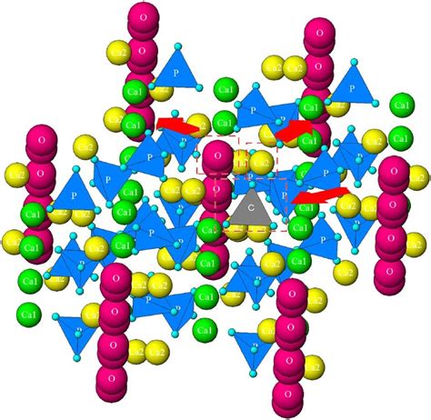 Crystal structure of hydroxyapatite showing a single... | Download ...