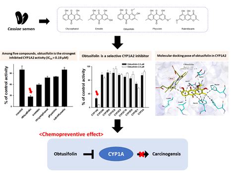 Pharmaceutics | Free Full-Text | Potent and Selective Inhibition of ...