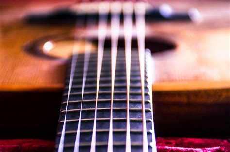 Free Images : acoustic guitar, electric guitar, musical instrument, stringed instrument, close ...