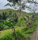 Forest and landscape restoration in the Philippines: a partnership between IKI, FAO and local ...