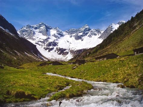 Slavic Landscapes: Alpine vegetation zone (11)