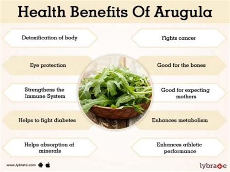 Health Benefits of Arugula | Nikki Kuban Minton