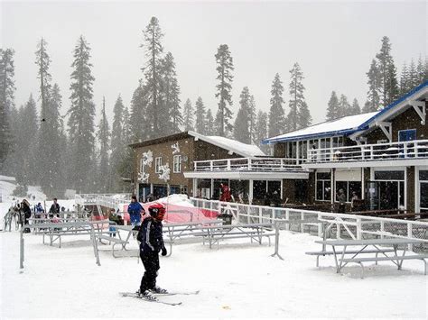 Badger Pass, Yosemite National Park I grew up spending many, many, many years skiing here ...