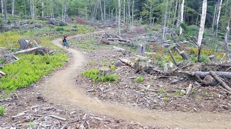 Stowe, Vermont Hiking Trails: Cady Hill Forest | Go Stowe