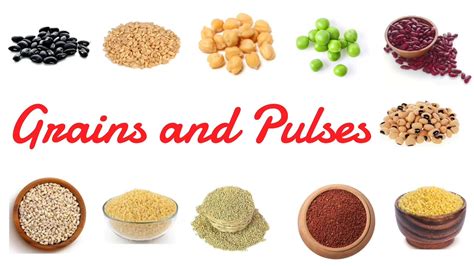 Names Of Cereals And Pulses at Tara Bowie blog