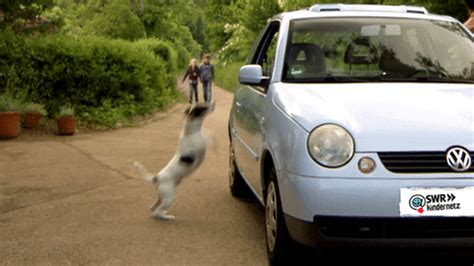 Jump In The Car GIFs - Find & Share on GIPHY