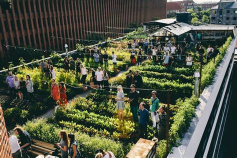 Rooftop Farming Brings Community Together | Global Opportunity Explorer