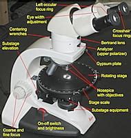 Petrographic microscope parts – Kurt Hollocher