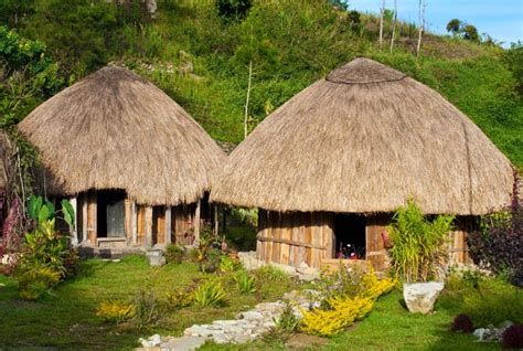 Yuk Kenali Budaya Indonesia, Inilah Rumah Adat Papua yang Memiliki Banyak Keunikan